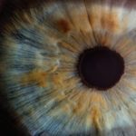 Los ojos ¿Sabes como cuidarlos?